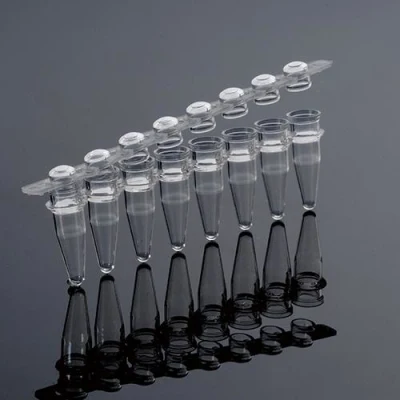 돔형 캡 0.2ml PCR 튜브는 효율적인 열 전달을 보장합니다.