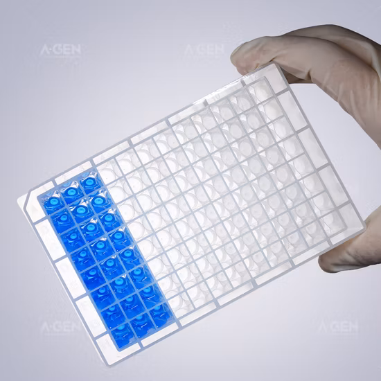 GEB 2.2ml 96 정사각형 웰 원추형 V 바닥 깊은 웰 플레이트